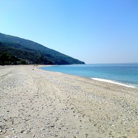 Guesthouse Theareston Загора Екстер'єр фото
